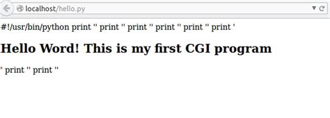 Cgi script nedir
